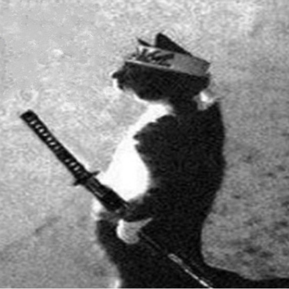 Meet your Posher, Logan - Picture 1 of 1